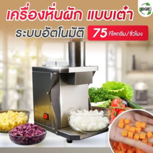 Automatic Vegetable Dicer