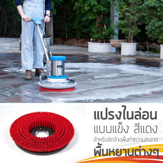 เครื่องขัดพื้น CHAMPION PROFESSIONAL เครื่องขัดพื้น Maxo 175RPM - Image 3